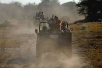 Кадр Окаванго 3D. Африканское сафари