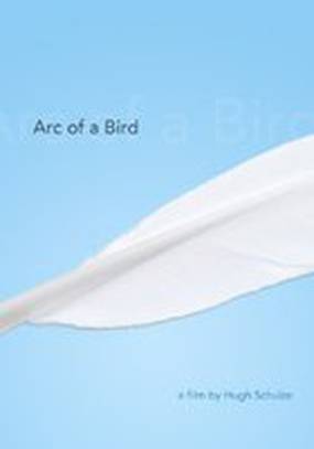 Arc of a Bird