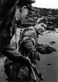 Кадр Король Шумавы