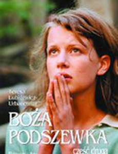 Божья подкладка 2