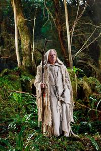 Кадр Мерлин