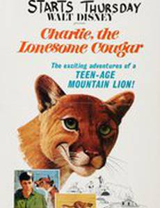 Чарли – одинокий кугуар