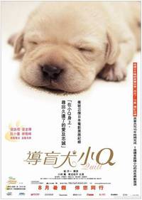 Постер Куилл