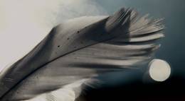 Кадр из фильма "Богатства Дуная" - 1