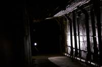 Кадр Искатели могил