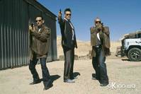 Кадр 29 пальм