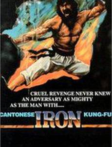 Железное кунг-Фу кантонца