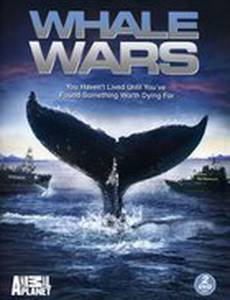Китовые войны