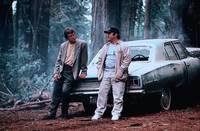 Кадр Вдребезги