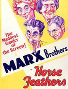 Лошадиные перья