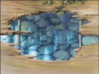 Кадр Дневник поездки в Иокогаму за покупками (видео)