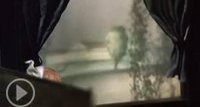 Мультфильм 