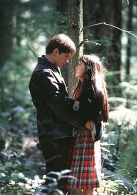 Кадр Заснеженные кедры