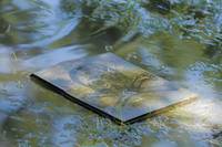 Кадр Ад на колёсах