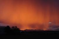 Кадр Безмолвный свет