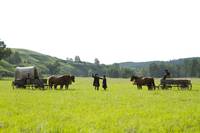 Кадр Ад на колёсах