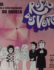 Роза ветров