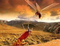 Кадр Осажденная крепость