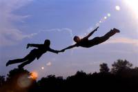 Кадр Райские птицы