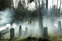 Кадр Дневники вампира