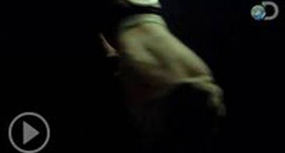 Промо-ролик №2