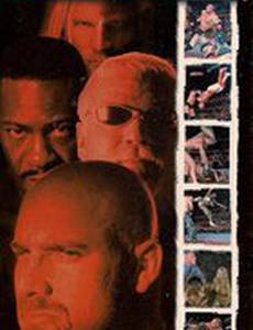 WCW Новая кровь