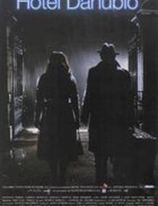 Отель Дунай