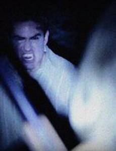 Just the Vampire Hunter