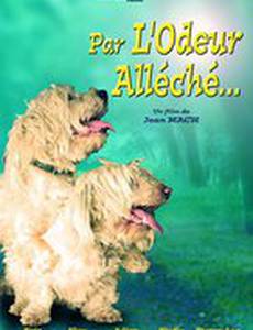 Par l'odeur alléché...