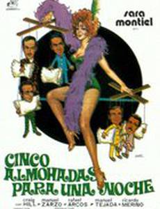 Пять подушек на одну ночь