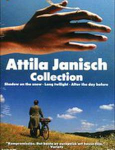 Тень на снегу