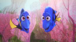 Кадр из фильма "В поисках Дори" - 1
