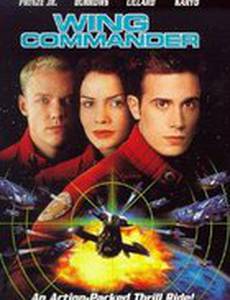 Командир эскадрильи