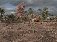 Кадр Крылатые монстры