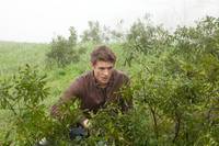 Кадр Гостья