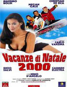 Рождественские каникулы 2000