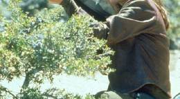 Кадр из фильма "Звездный путь: Восстание" - 1