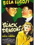 Постер из фильма "Черные драконы" - 1