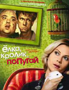 Елка, кролик, попугай