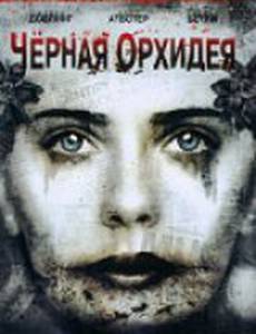 Черная орхидея (видео)