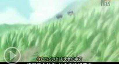 Вступительные титры 