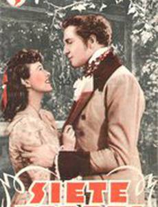 Дом о семи фронтонах