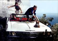 Кадр На древо взгромоздясь