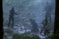 Кадр Континуум