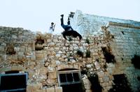 Кадр Черный орел