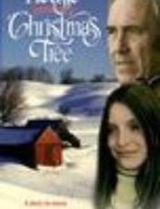 The House Without a Christmas Tree