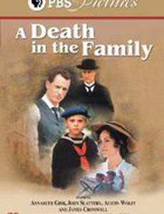 Смерть в семье