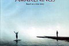 Пробуждение