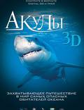 Постер из фильма "Акулы 3D" - 1