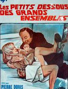 Les petits dessous des grands ensembles